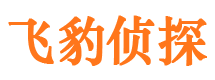 东宝市调查公司